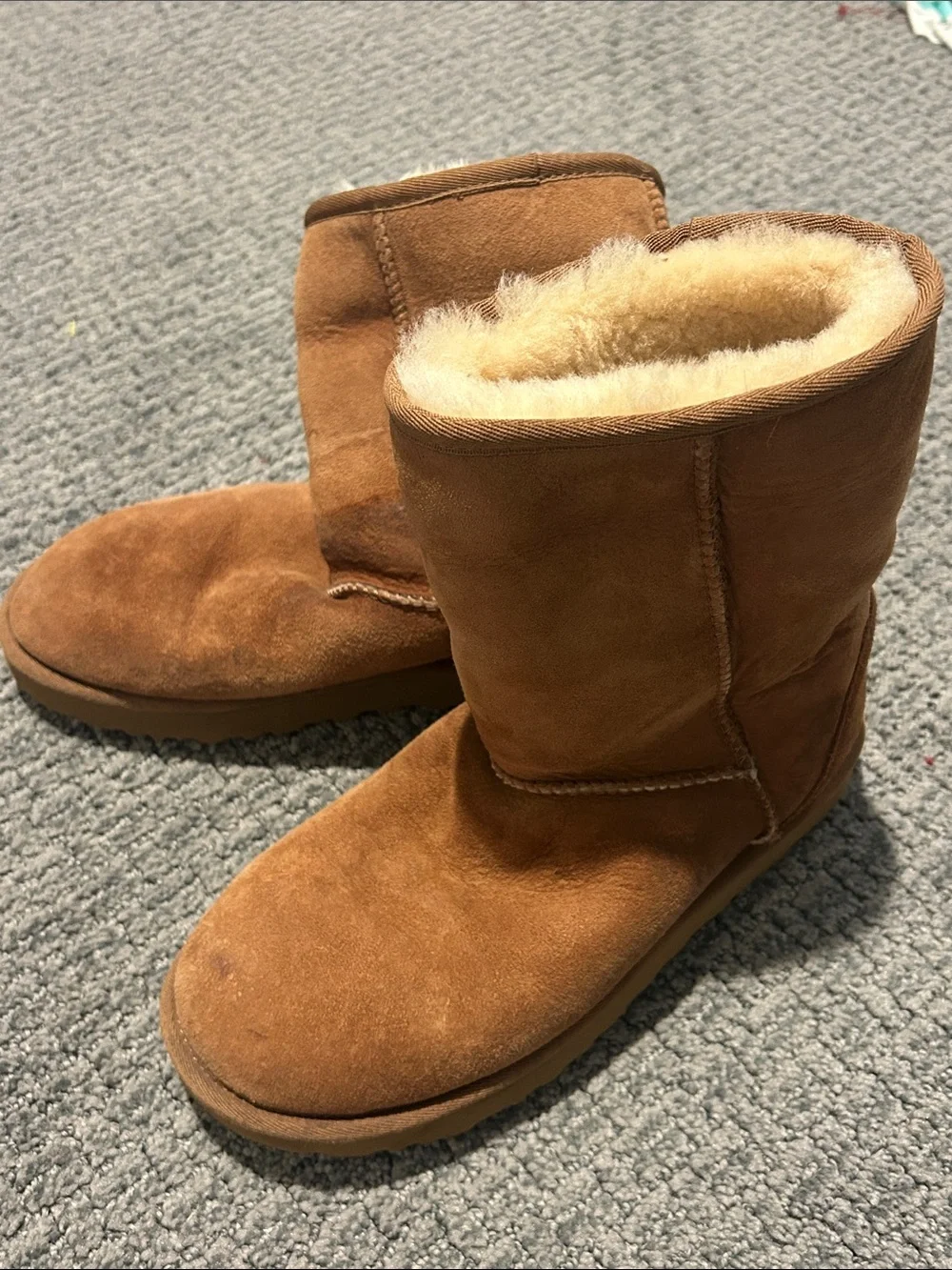 UGG Classic Short Boot - Chestnut Brown